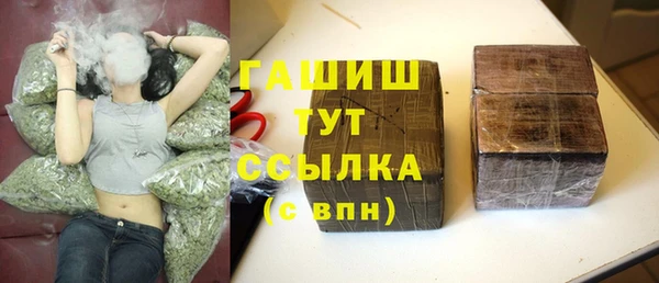 индика Аркадак