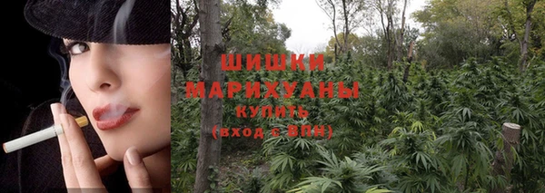 мет Арсеньев